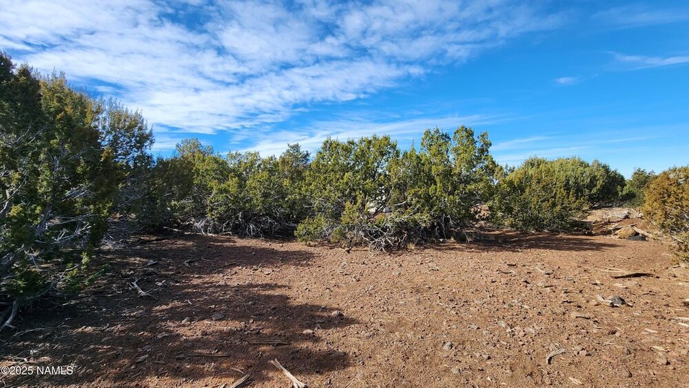 Photo of Mobile Home Lot