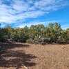 Photo of Mobile Home Lot