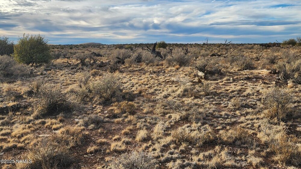 Photo of Mobile Home Lot