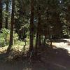 Mobile Home for Sale: 3 Bed 2 Bath 1993 Mobile Home