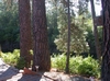Photo of RV Lot