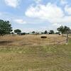 Mobile Home for Sale: 3 Bed 2 Bath 1984 Mobile Home