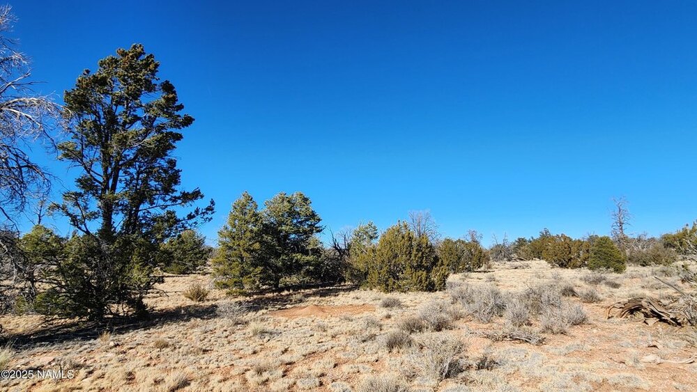 Photo of Mobile Home Lot
