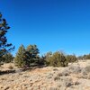 Photo of Mobile Home Lot