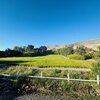 Mobile Home for Sale: Manufactured - Lovelock, NV, Lovelock, NV
