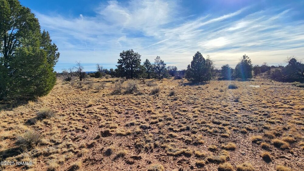 Photo of Mobile Home Lot