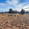 Photo of Mobile Home Lot