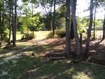 Photo of Mobile Home Lot
