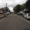 EA Driveway