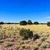 Photo of Mobile Home Lot