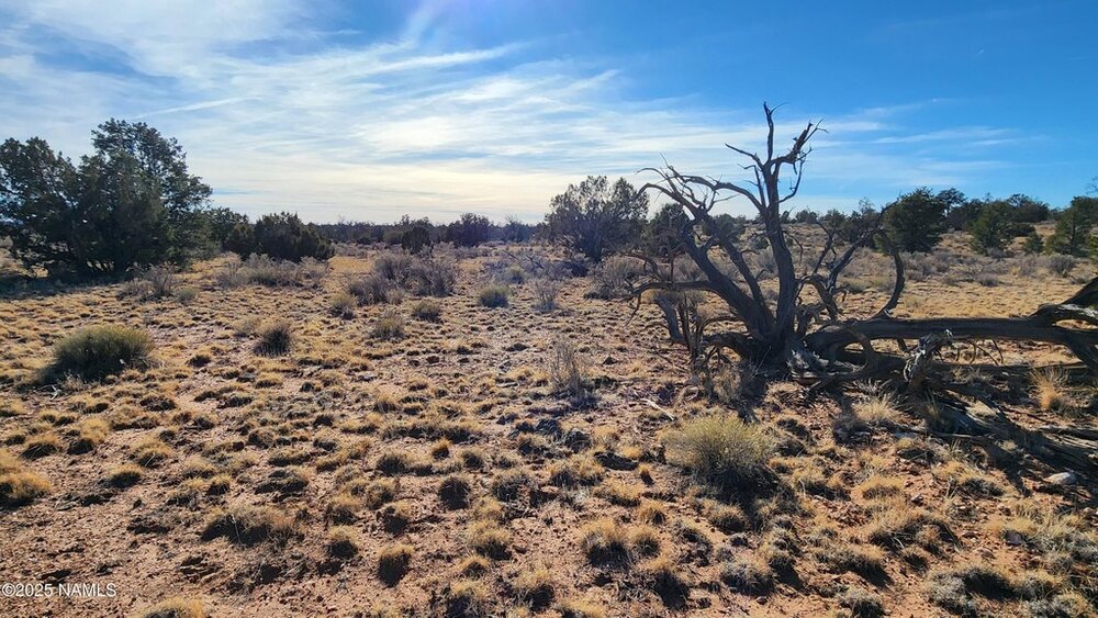 Photo of Mobile Home Lot