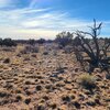Photo of Mobile Home Lot
