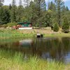 Mobile Home for Sale: Manufactured On Land, Other - Wolf Creek, OR, Wolf Creek, OR