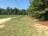 Photo of Mobile Home Lot