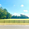 Mobile Home for Sale: 3 Bed 2 Bath 1991 Mobile Home
