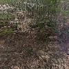 Mobile Home for Sale: Mobile Home