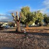 Photo of Mobile Home Lot