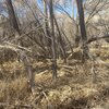 Photo of Mobile Home Lot