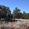 Photo of Mobile Home Lot