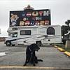 RV for Sale: 2006 FREELANDER 2600SO