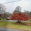 Mobile Home for Sale: 1984 Mobile Home