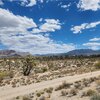 Photo of Mobile Home Lot