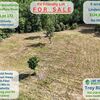RV Lot for Sale: RV Lot 172 – 6 Acres with Cleared Build Site & Public Road Frontage on Old Hohenwald Rd , Linden, TN