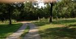 Photo of Mobile Home Lot