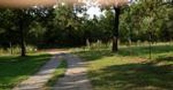 Photo of Mobile Home Lot