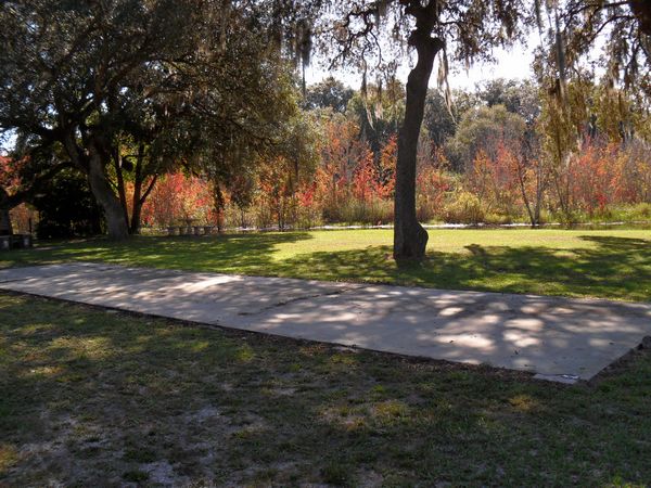 Photo of RV Lot