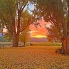 Mobile Home for Sale: Mobile Home, Mobile/Manufactured - Mount Vernon, OR, Mount Vernon, OR