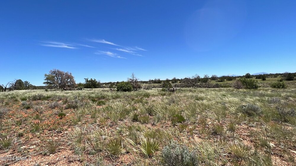 Photo of Mobile Home Lot