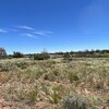 Photo of Mobile Home Lot