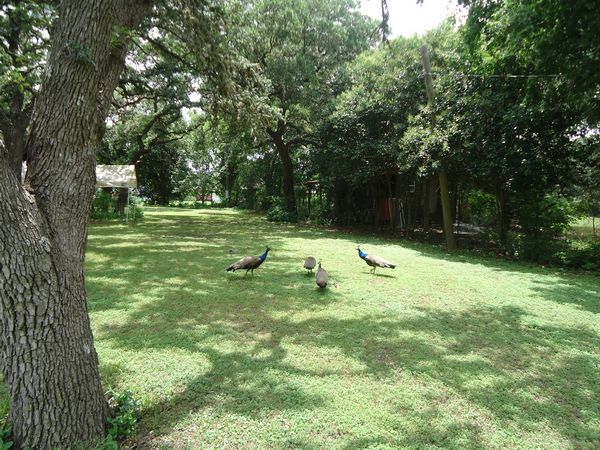 Photo of RV Lot