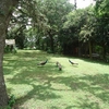 Photo of RV Lot