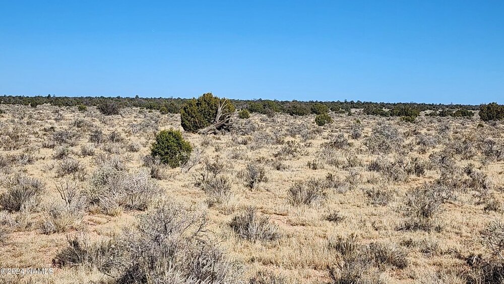 Photo of Mobile Home Lot
