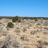 Photo of Mobile Home Lot