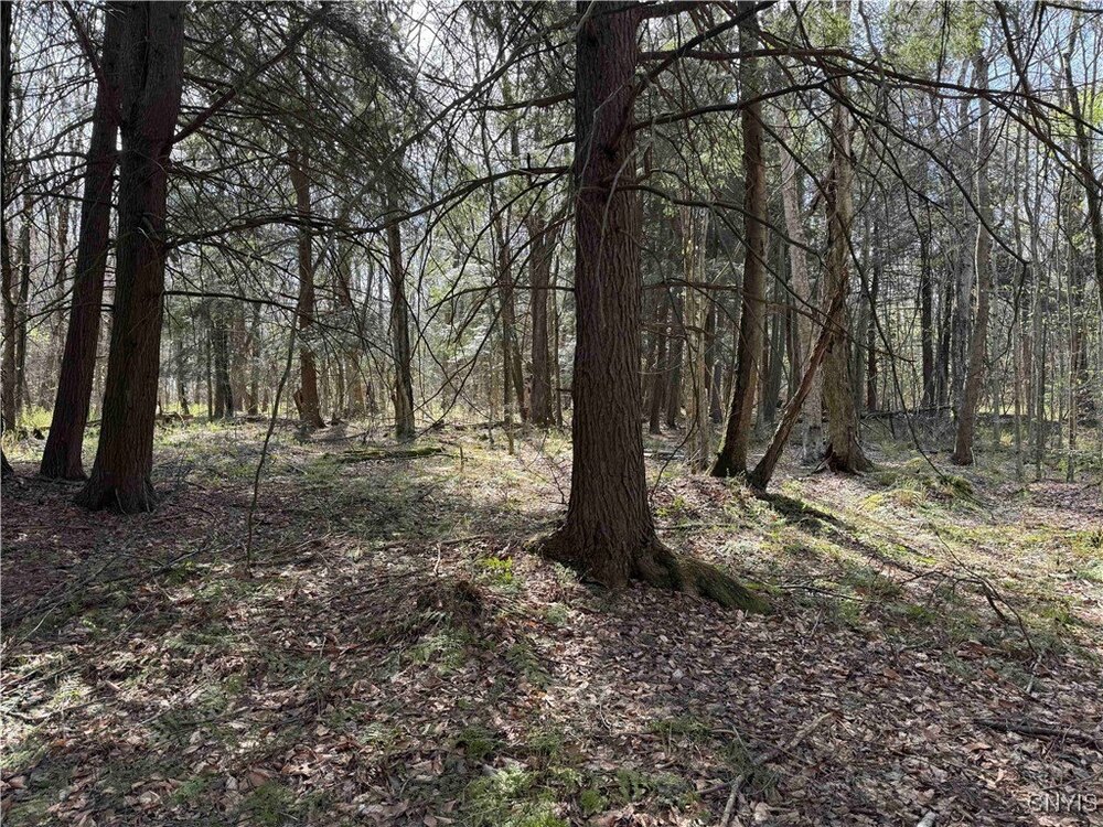 Photo of Mobile Home Lot