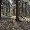 Photo of Mobile Home Lot