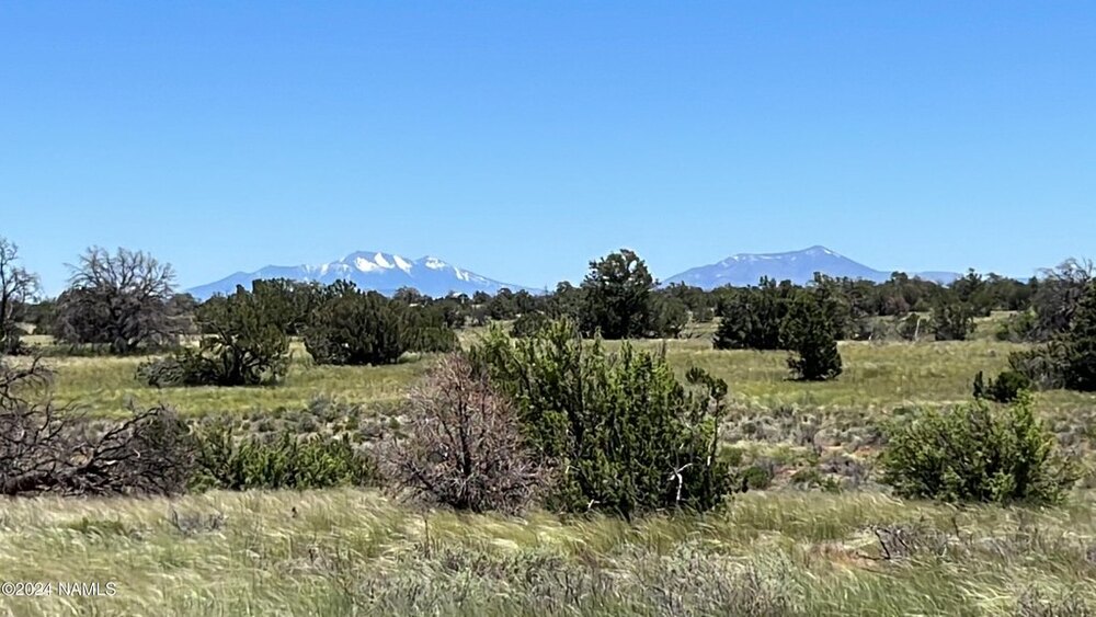 Photo of Mobile Home Lot