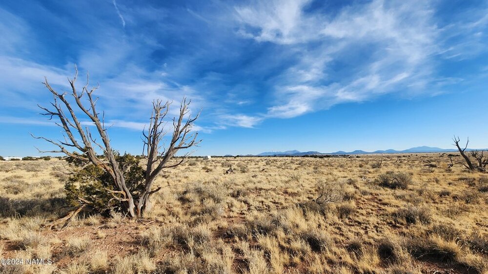 Photo of Mobile Home Lot