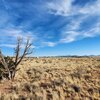 Photo of Mobile Home Lot