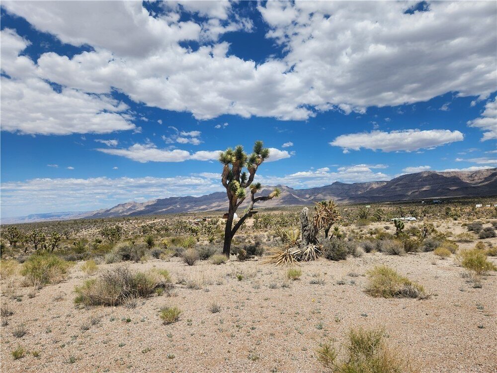 Photo of Mobile Home Lot