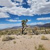 Photo of Mobile Home Lot