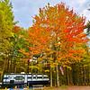 RV Park for Sale: Confidential Maine Campground For Sale, , ME
