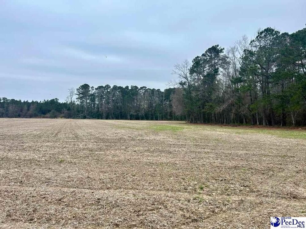 Photo of Mobile Home Lot