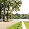 RV Park for Sale: Lakeview Lodge , , TX