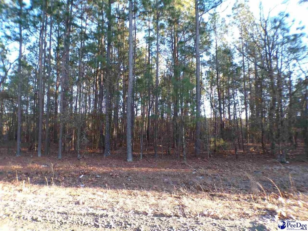 Photo of Mobile Home Lot