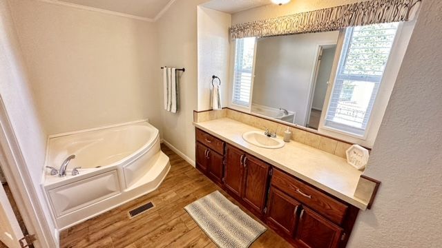 Primary Bath Tub