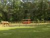 Photo of RV Park/Campground